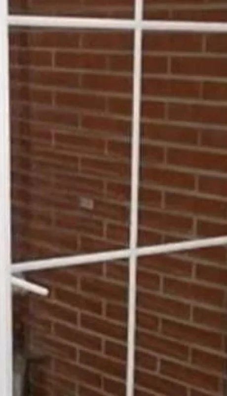 video-viral-perro-portero