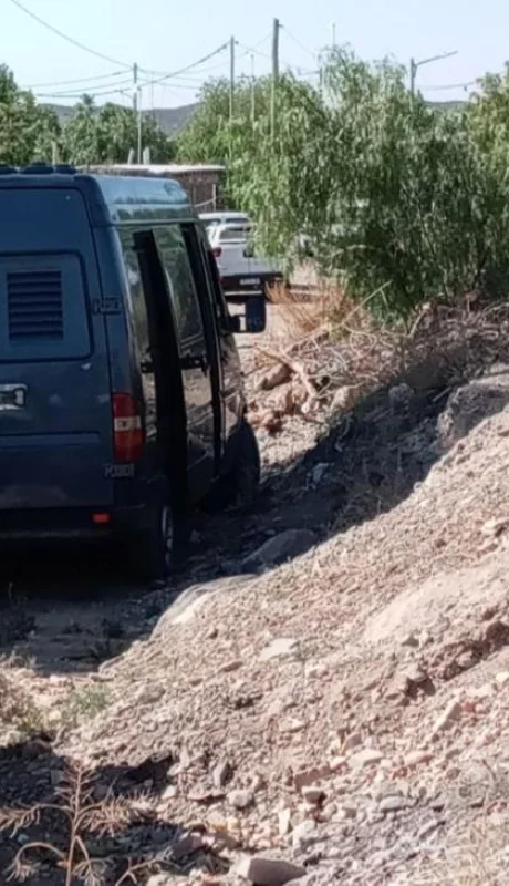 WhatsApp-Image-2020-11-03-at-10.19.29