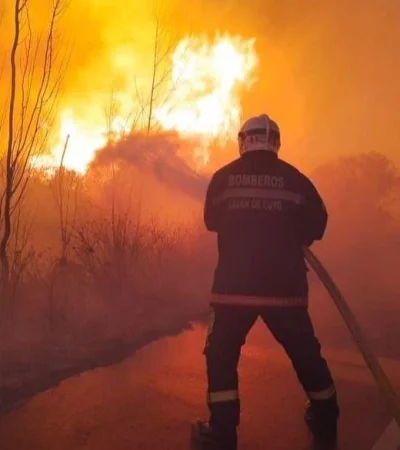 Incendio-el-carrizal-3