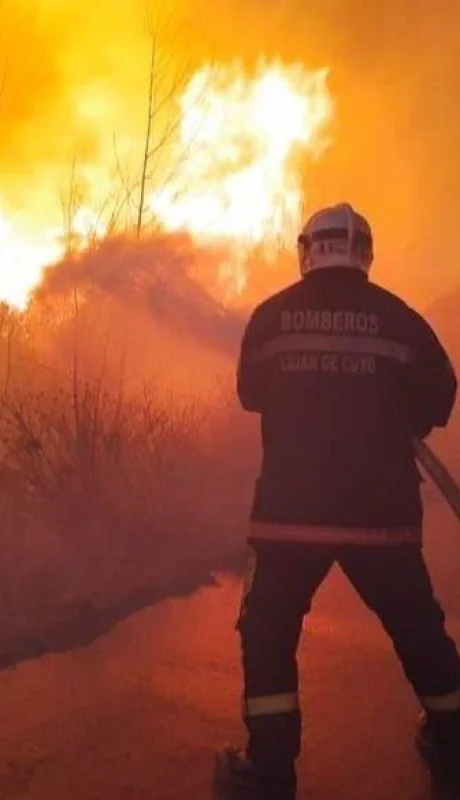 Incendio-el-carrizal-3