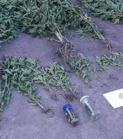 Drogas--allanamiento-Diario-El-Ciudadano