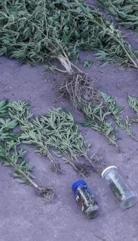 Drogas--allanamiento-Diario-El-Ciudadano