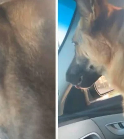 SVP3UJOKPJFXBGDXAHEWHTEZ2A