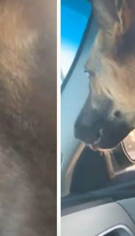 SVP3UJOKPJFXBGDXAHEWHTEZ2A