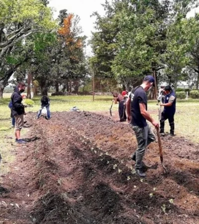 56399ead-571c-470d-be4d-7dd6345e6b6f