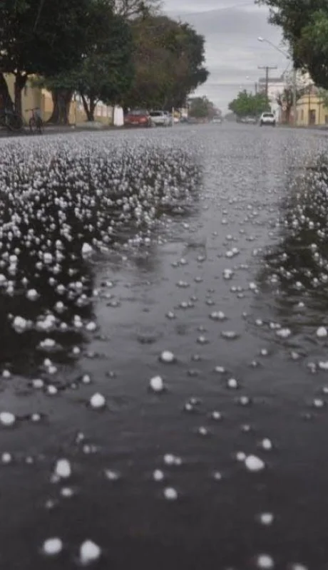 548a1a59f1455_1420_-e1519407506823