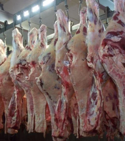 La carne argentina esta certificada como libre de aftosa por la OMS. (Foto: archivo web)