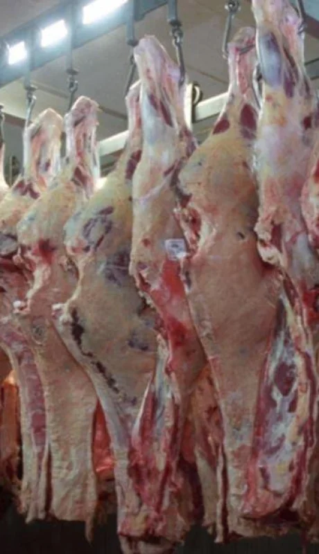 La carne argentina esta certificada como libre de aftosa por la OMS. (Foto: archivo web)