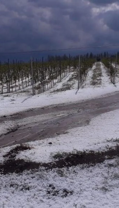 granizo-mendoza-piedra-tormenta-jueves-88
