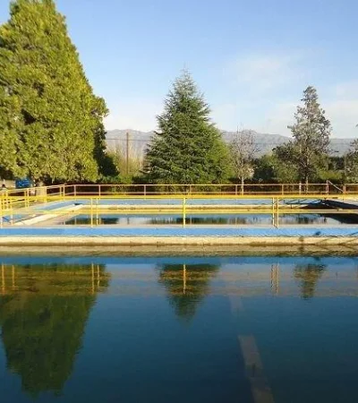 8ed0af480d-floculacion