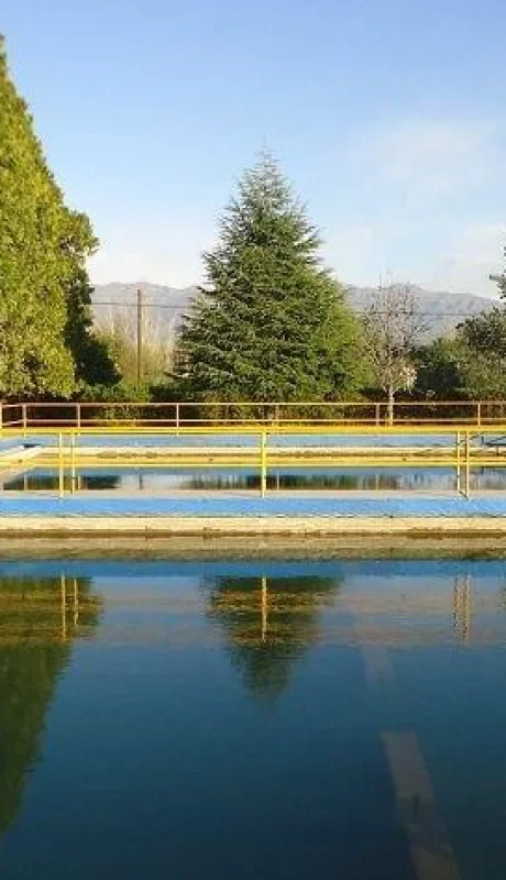 8ed0af480d-floculacion