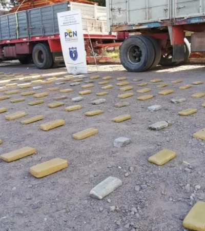 Mimo-Cataldo-ladrillos