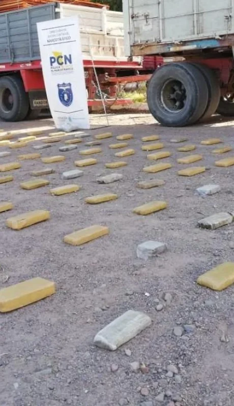 Mimo-Cataldo-ladrillos