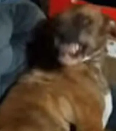 EVL6K5RNKFEJPOEMRPHXTGSEM4