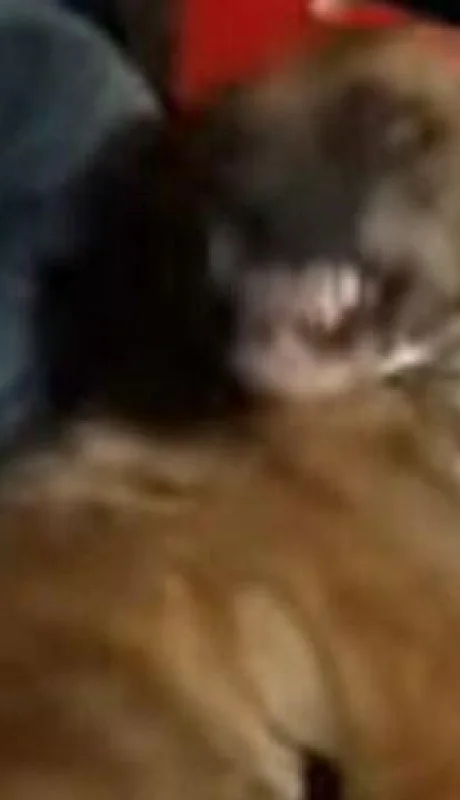 EVL6K5RNKFEJPOEMRPHXTGSEM4