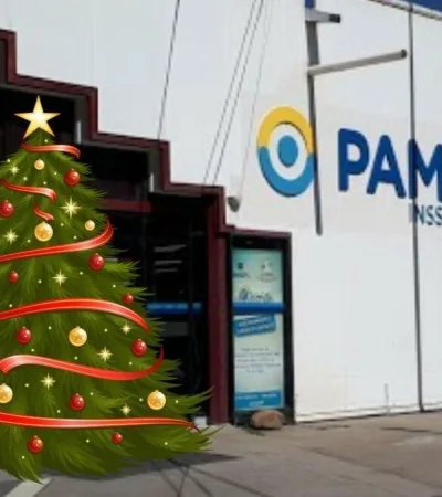 bono-navideño-pami