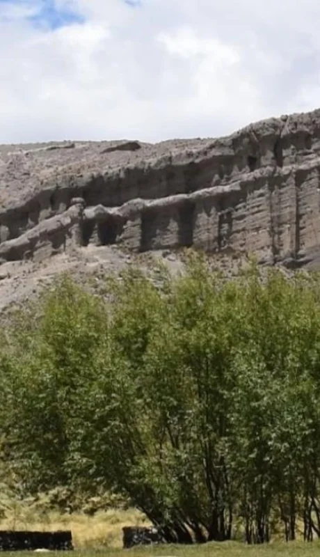 WhatsApp-Image-2020-12-22-at-13.12.58