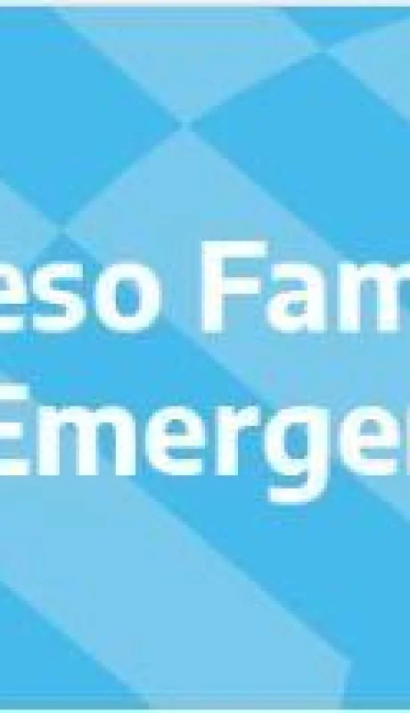 ingreso-familiar-de-emergencia-anses