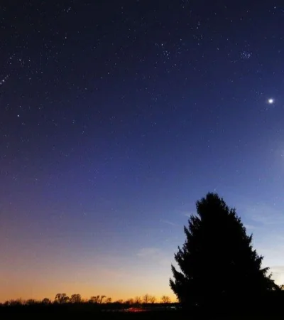 la_estrella_de_belen_joya_life_1