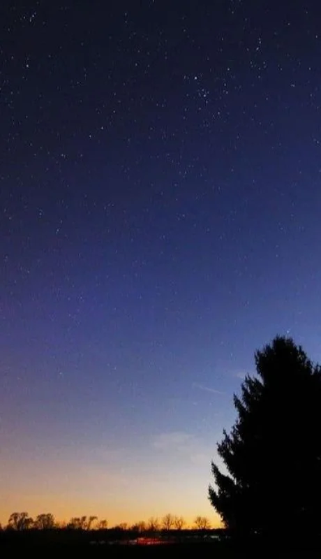 la_estrella_de_belen_joya_life_1