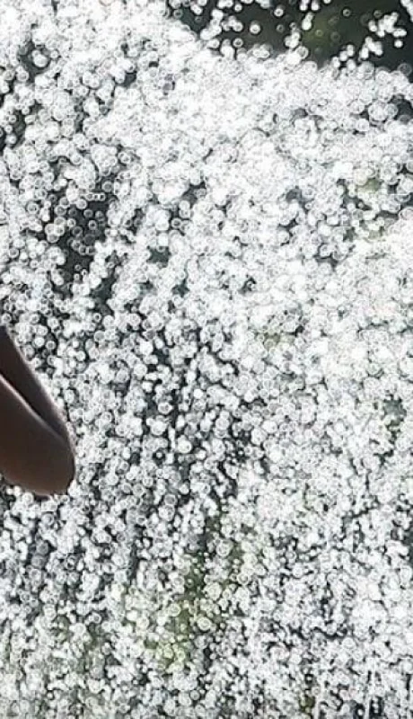 tiempo-pronostico-viernes-hoy