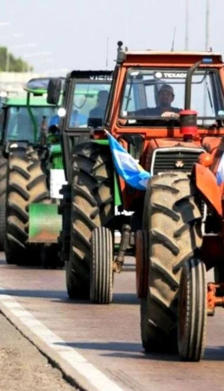 BUZZI-COMERCIALIZACION-DE-GRANOS