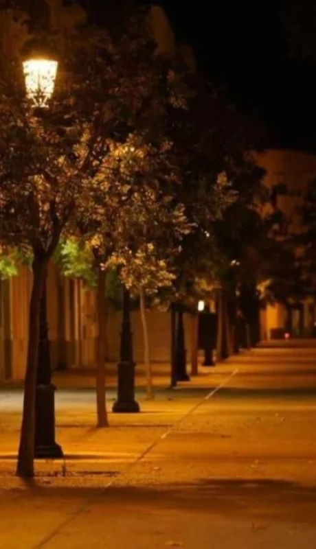 coronavirus-toque-de-queda