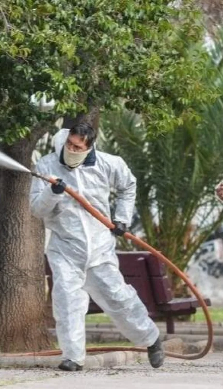 memndoza-coronavirus