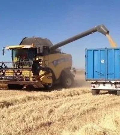 capo_cereales_conflicto