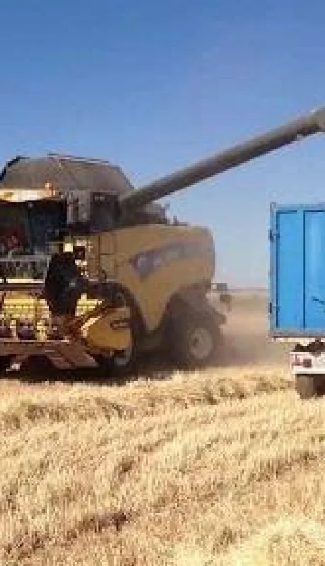 capo_cereales_conflicto