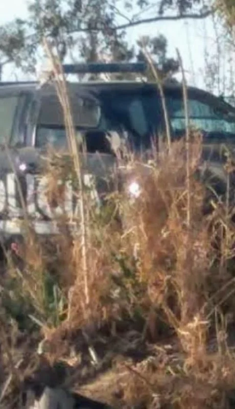 multimedia.grande.819a22390bbffdf9.504f4c494349412043414e414c2053414e544120524f53415f6772616e64652e706e67