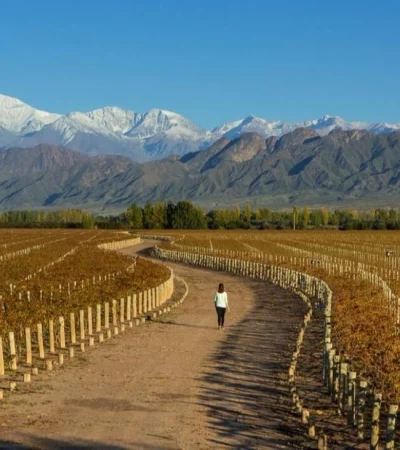 turismo_vino_mendoza_montan?a