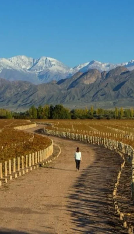 turismo_vino_mendoza_montan?a