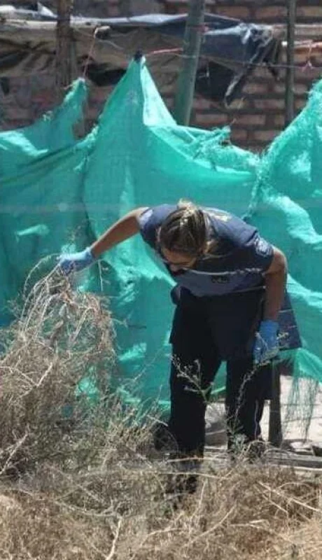 1610903372775ef08f142-2a0f-4254-9f8f-c6e4190503c8