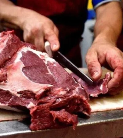 CArne-suba_1607364635