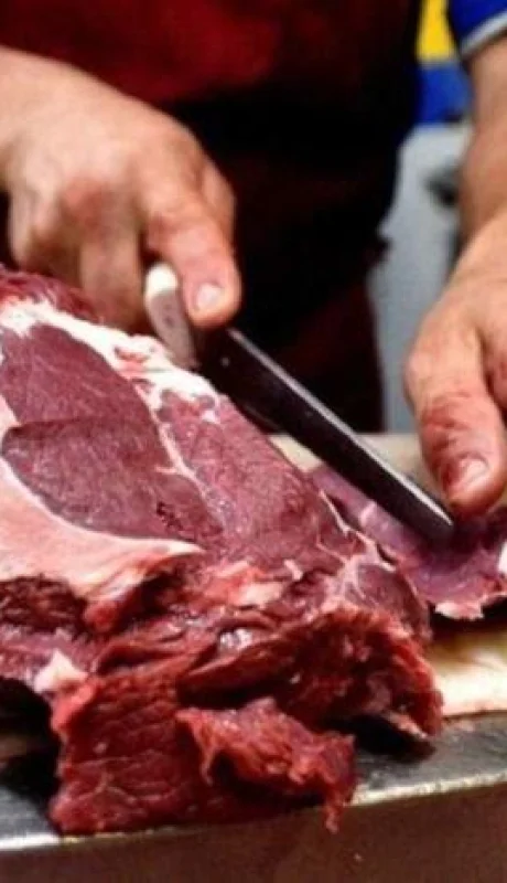 CArne-suba_1607364635