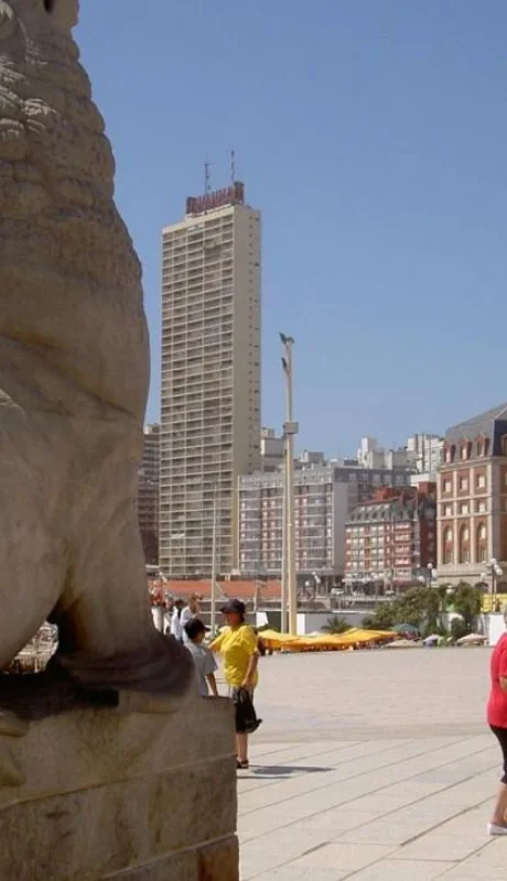 Stensjölejon_i_Mar_del_Plata