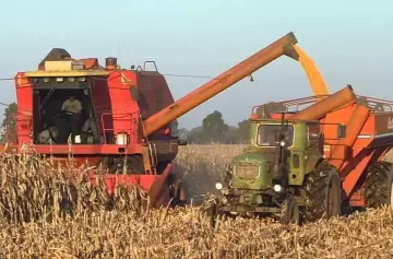 Campo y plan Milei: la inversión agrícola se estanca, pero la confianza se recupera para 2026