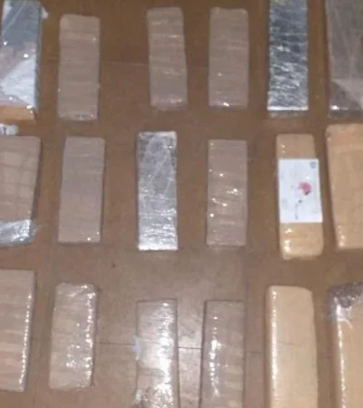 WhatsApp-Image-2021-01-08-at-18.26.41