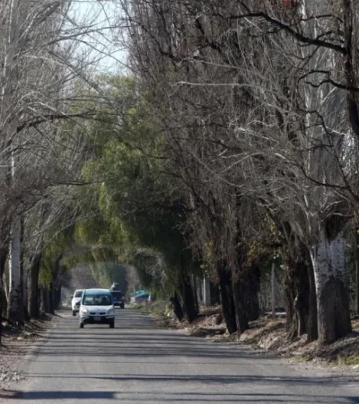 WhatsApp-Image-2020-08-26-at-16.11.51