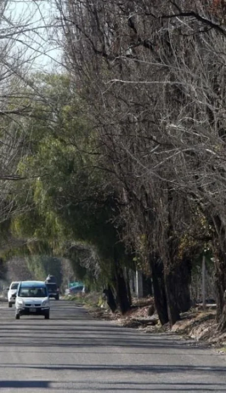 WhatsApp-Image-2020-08-26-at-16.11.51