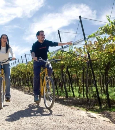 turismo_vino_enoturismo