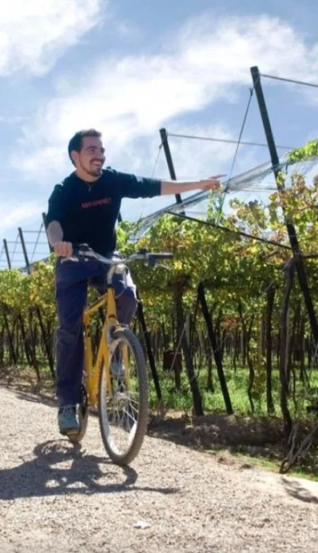 turismo_vino_enoturismo