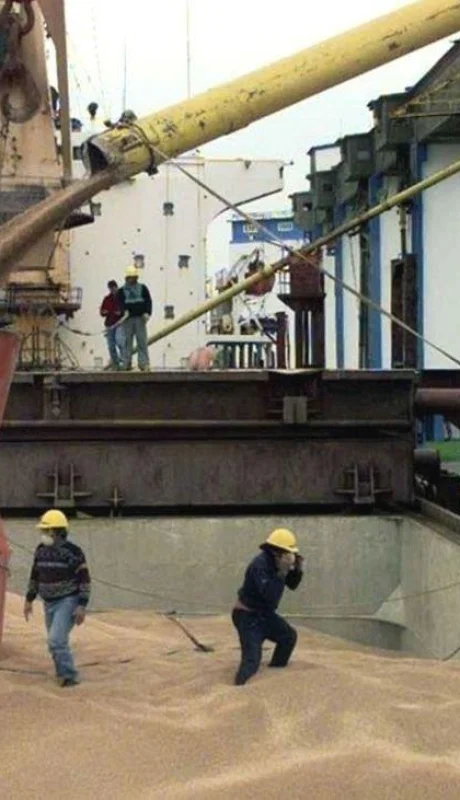 exportacion-de-granos