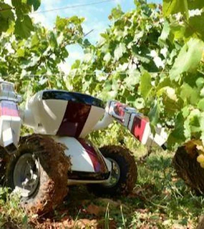 robot_vitivinicultura_vin?edo