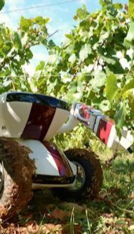 robot_vitivinicultura_vin?edo