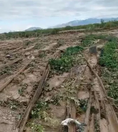 Captura-de-Pantalla-2021-02-28-a-la(s)-11.59.03