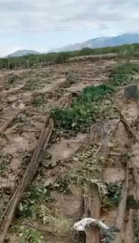 Captura-de-Pantalla-2021-02-28-a-la(s)-11.59.03