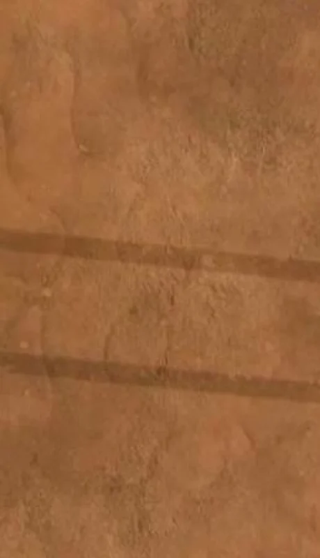 WhatsApp-Image-2021-02-19-at-18.56.38