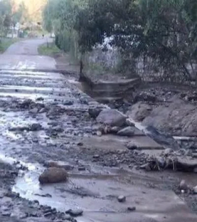 WhatsApp-Image-2021-02-12-at-08.42.05